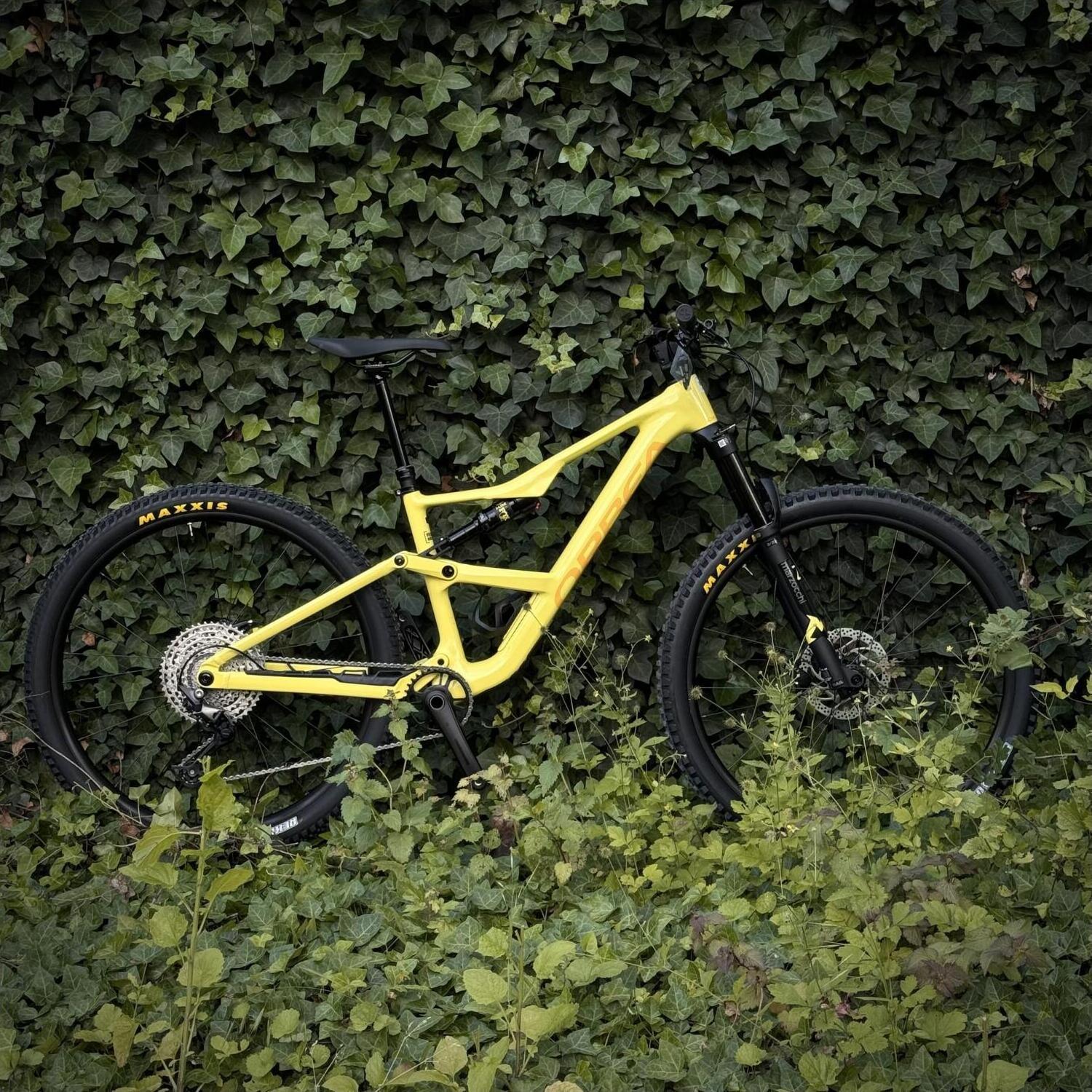 Orbea occam vo velocity