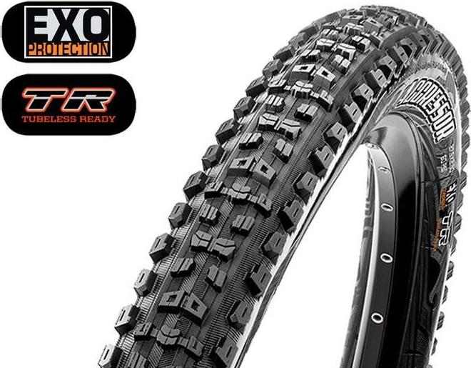 208708 horsky plast maxxis aggressor 29x230 kevlar exo tr dc.jpg1