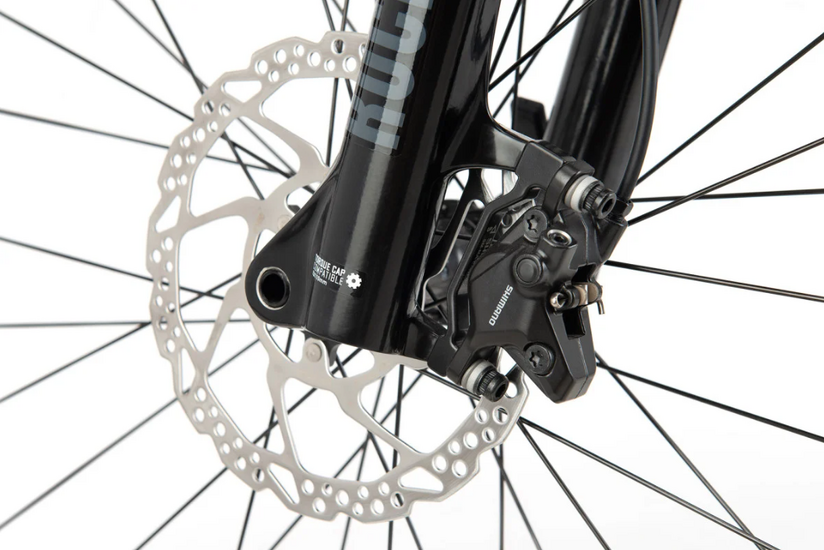 Ctm rascal2 0 2025 9