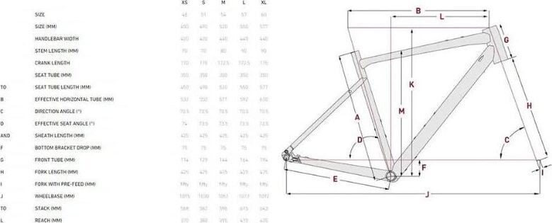 Focus atlas 6 7 Gravel geometria