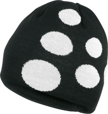 Craft Big Logo Winter cap