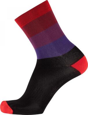 Nalini Moines Cycling socks