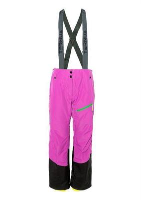 Ternua Tepee W Dámske lyžiarske nohavice