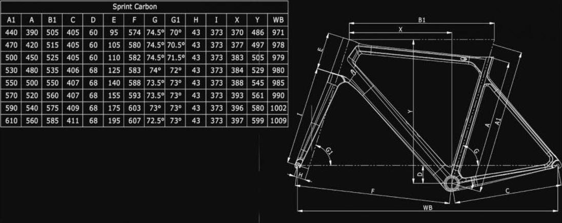 138134 pretekarsky cestny bicykel bianchi sprint 105 11sp 2.jpg3