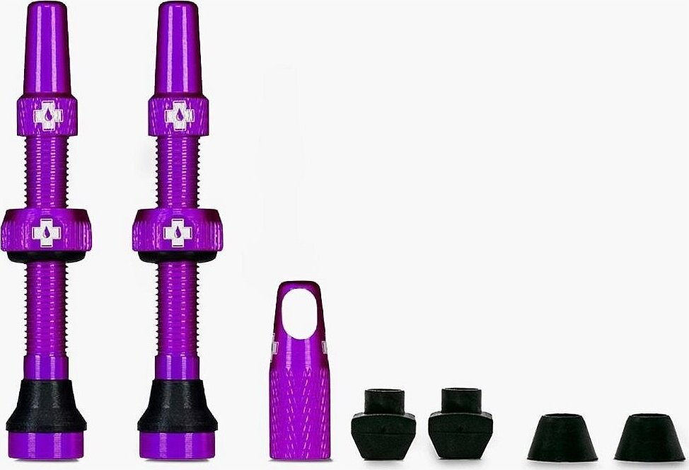 1663749750 web purple tubeless presta valve pair 2021 2000x2000[1]