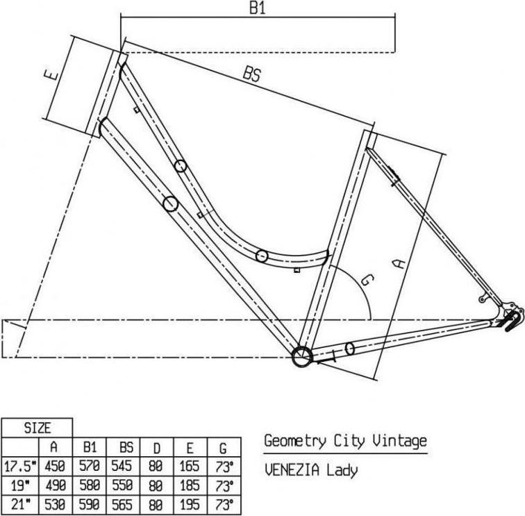 Bianchi Venezia Lady Nexus 3sp YMBZ3 2019 Mestský oceľový bicykel