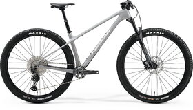 BIG NINE TR 5000 gryslv MY24 (1)