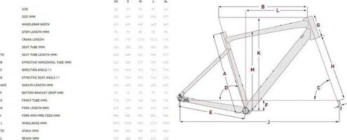 Focus atlas 6 7 Gravel geometria